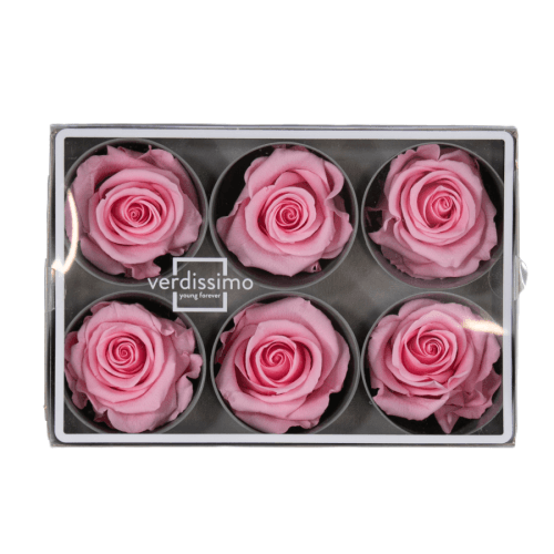 Rosa Rosa claro Cabeza, Rosa, 6 tallos, 5cm