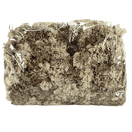 Musgo Finlandes 500 gr, Natural