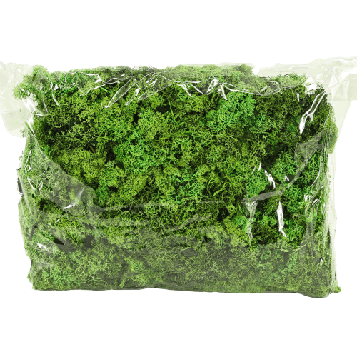 Musgo Finlandes 500 g, Verde