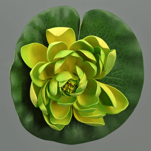 X Lotus Flotante, Verde