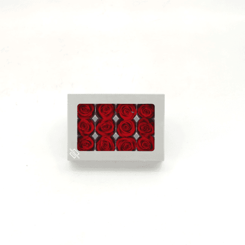 Rosa Rojo Cabeza, Rojo, 12 tallos, 3cm