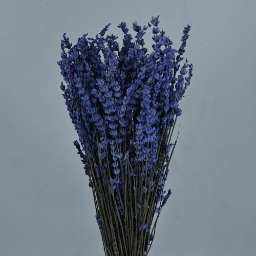 Lavanda Violeta, 45cm