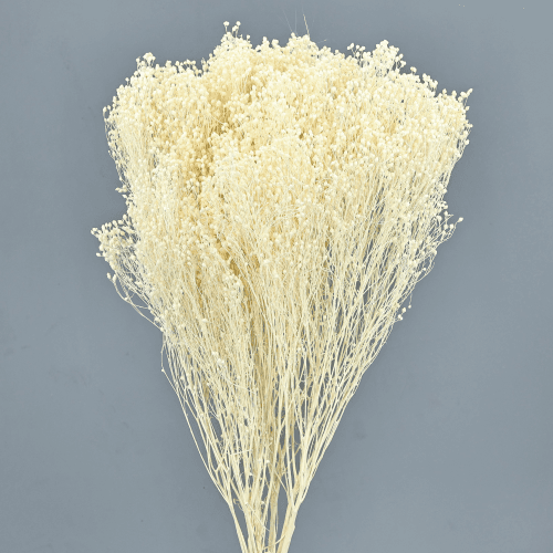 Brooms Blanco 100 gr, Blanco, 50cm