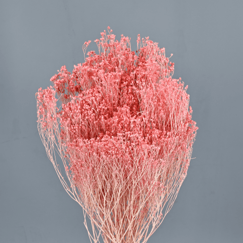 Brooms Rosa Claro 100 gr, Rosa Claro, 50cm
