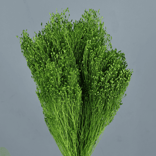 Brooms Verde 100 gr, Verde, 50cm