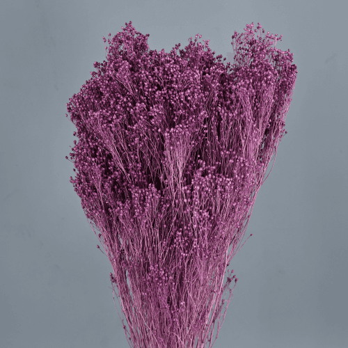Brooms Lavanda 100 gr, Lavanda, 50cm