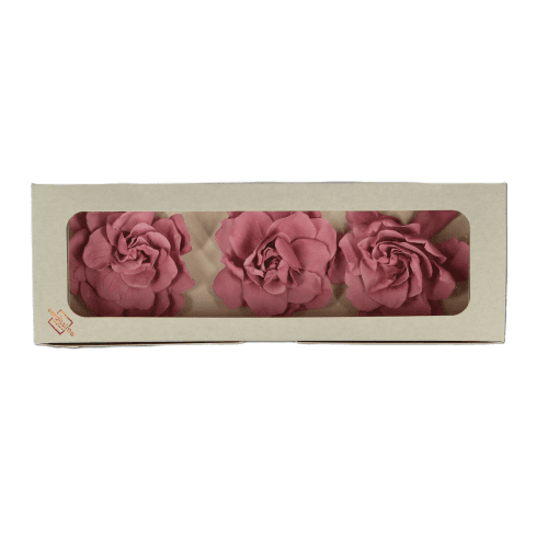 Gardenia Cherry Blossom, Preservado, 3 tallos
