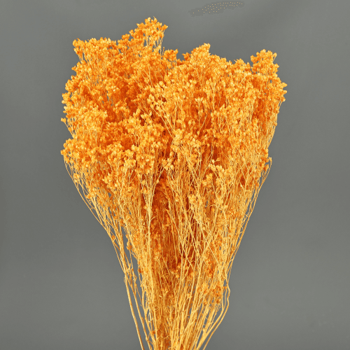 Brooms Naranja 100 g, Naranja, 50cm