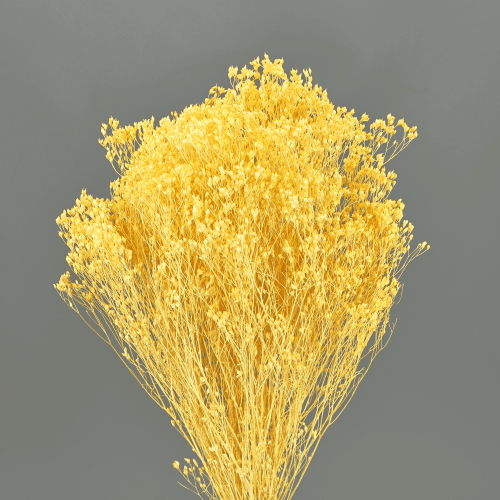 Brooms Amarillo 100 g, Amarillo, 50cm