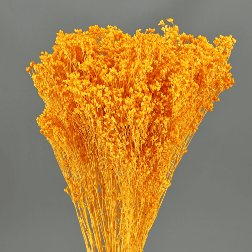 Brooms Naranja 100 g, Naranja, 50cm