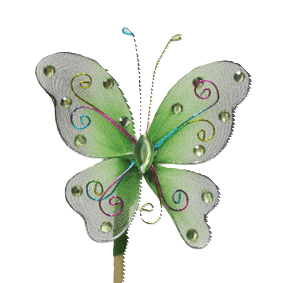 Pick Mariposa Orient, Verde, 1 tallos, 50cm