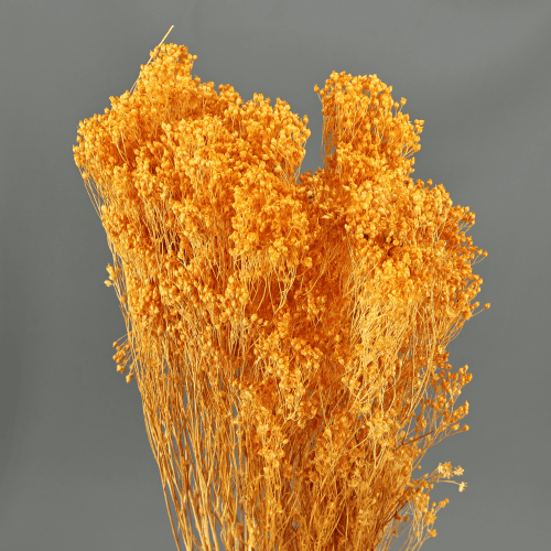 Brooms Terra 100 g, Terracota, 50cm