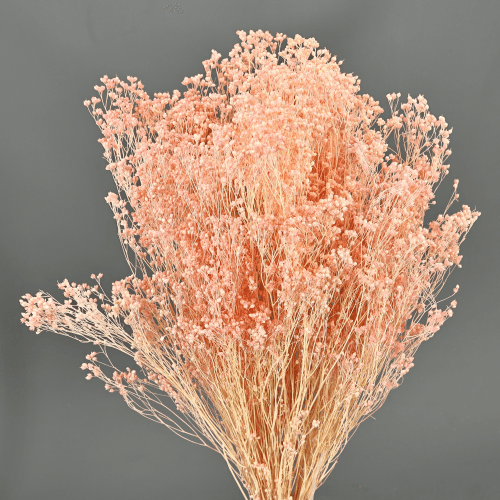 Giesta preservada rosa claro, Flor preservada de 50 cm de comprimento