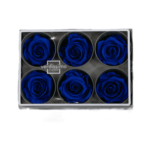 Rosa Azul Cabeza, Azul, 6 tallos, 5cm