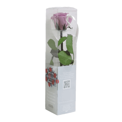 Rosa Lavanda Tallo, Lavanda, 1 tallos, 27cm