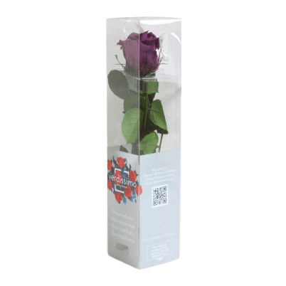 Rosa Morado Tallo, Morado, 1 tallos, 27cm