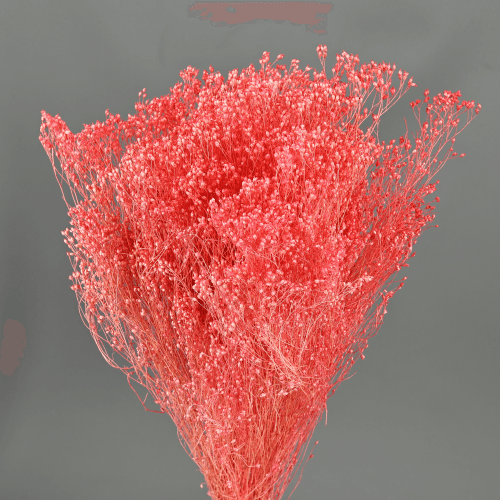 Brooms Rosa 100 g, Rosa, 50cm