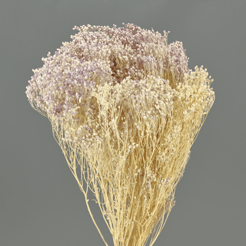 Brooms Lavanda 100 g, Lavanda