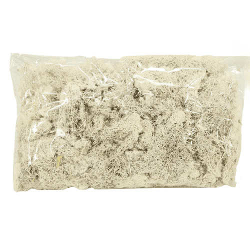Musgo Finlandes 500 gr, Blanco