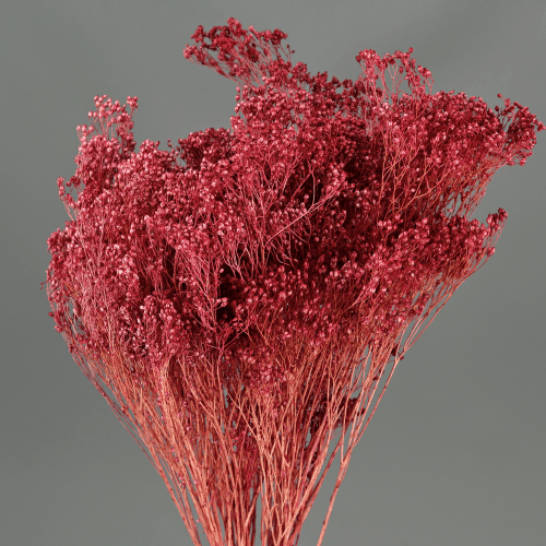 Retama preservada cereza