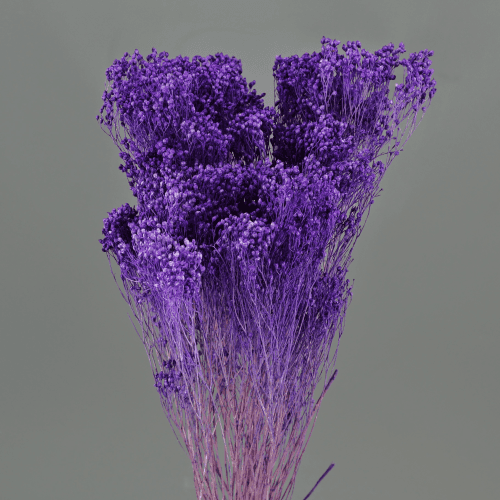 Brooms Morado 100 g, Morado, 50cm