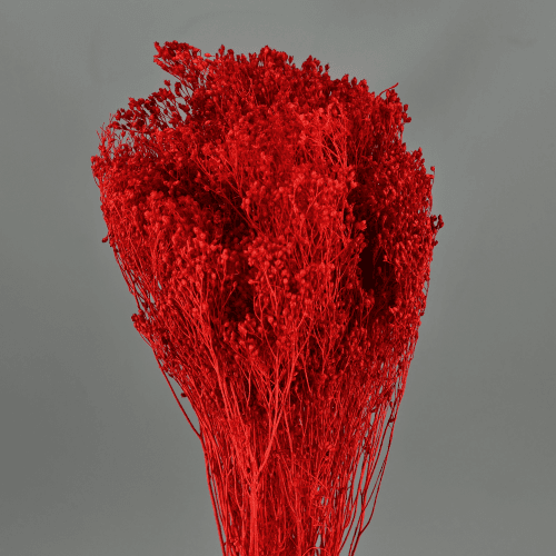 Brooms Rojo 100 g, Rojo, 50cm