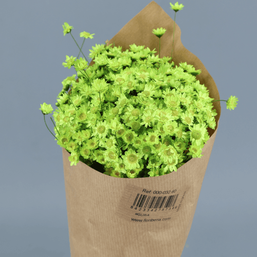 Glixia Verde Pistacho, Verde Pistacho, 50cm