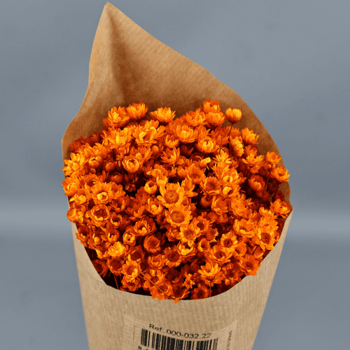 Glixia Naranja, Naranja, 40cm