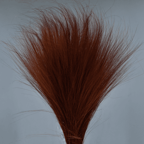 Barbe préservée marron