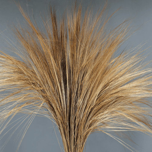 Barba Natural Preservada