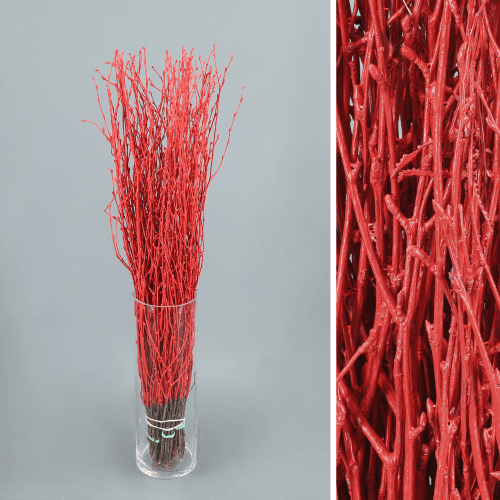 Birch Painted Rojo, Rojo, 60cm