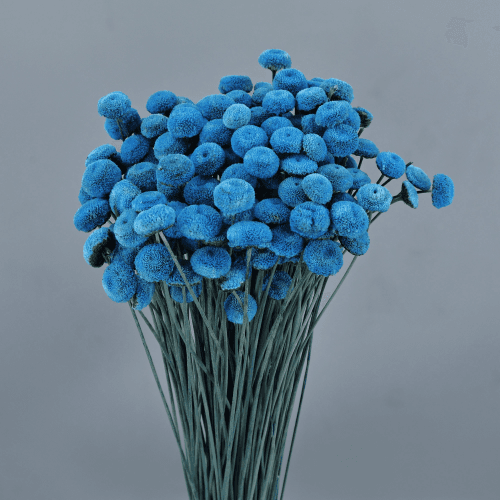 Botao Azul, Azul, 45cm