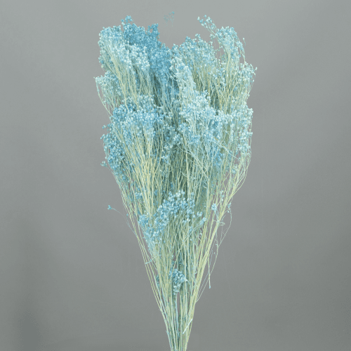 Brooms Azul Claro 100 g, Azul, 50cm