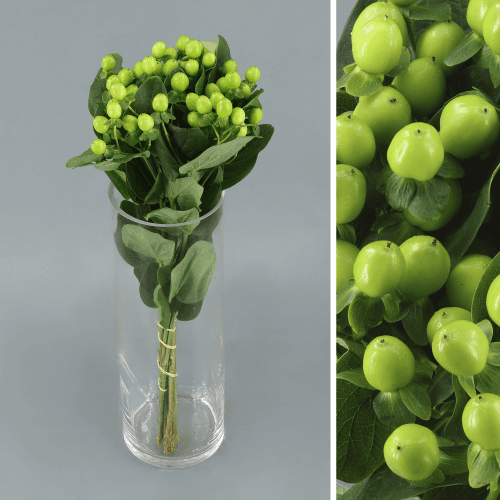 Hypericum Coco Bamboo, Verde, 1 tallos, 40cm