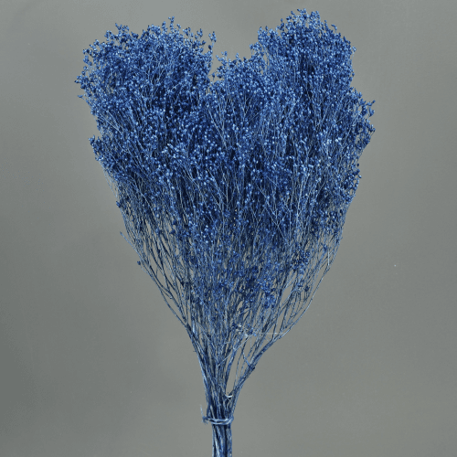 Brooms Azul 100 g, Azul, 50cm