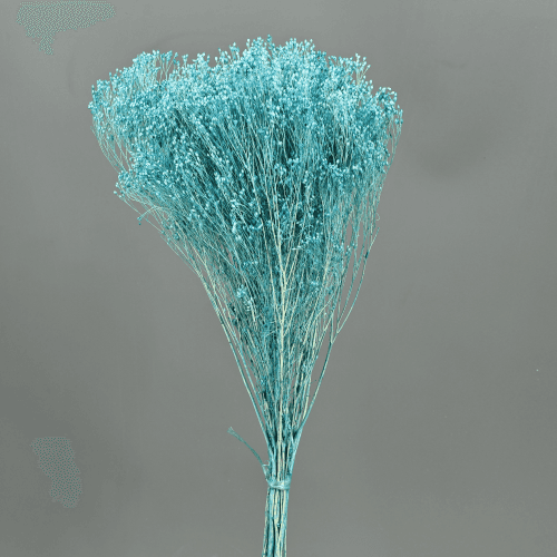 Brooms Celeste 100 g, Celeste, 50cm