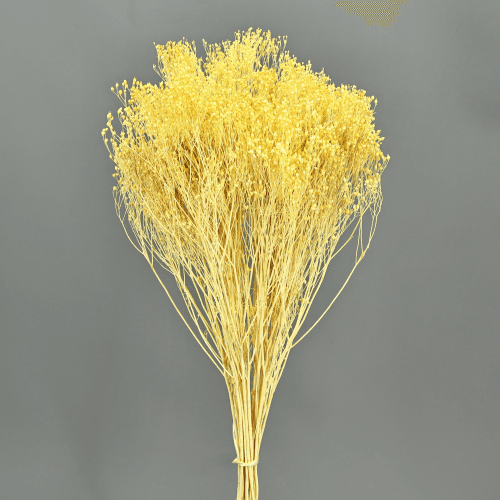 Brooms Amarillo 100 g, Amarillo, 50cm
