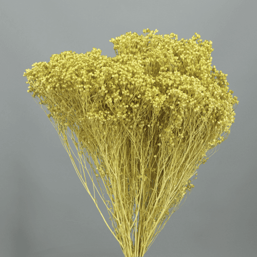 Brooms Verde 100 g, Verde, 50cm