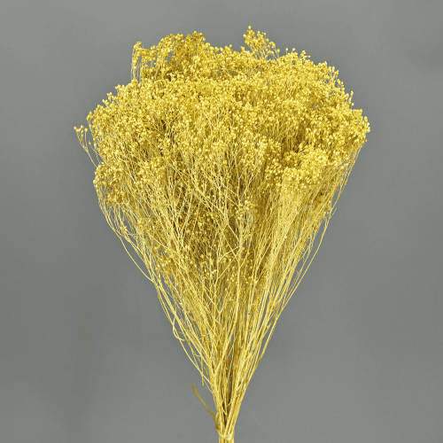 Brooms Verde Moss 100 g, Verde/Amarillo, 50cm