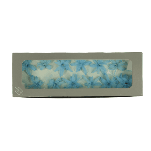 Nardo Celeste, Preservado, 12 tallos, 2cm