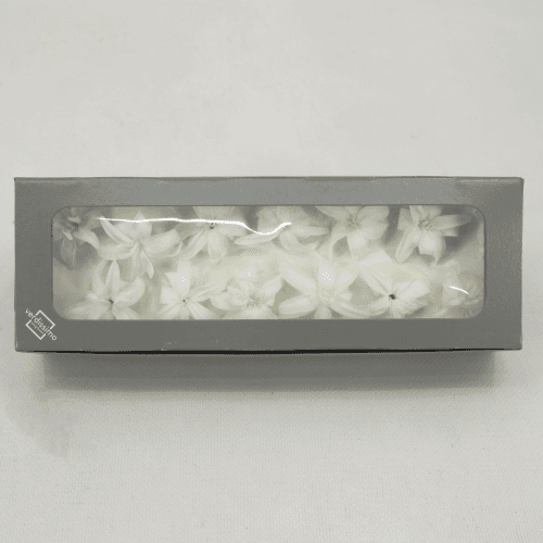 Nardo Blanco, Preservado, 12 tallos, 2cm