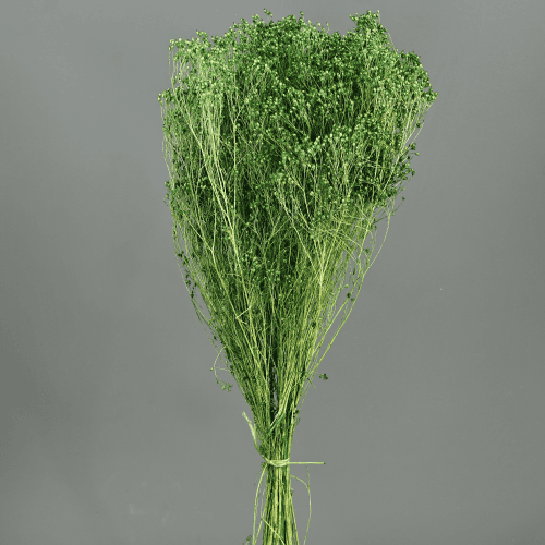 Brooms Verde Oscuro 100 g, Verde Oscuro, 50cm