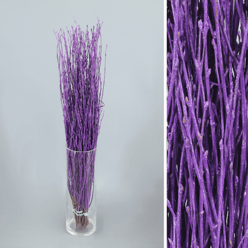 Birch Pintado Morado, Morado, 60cm