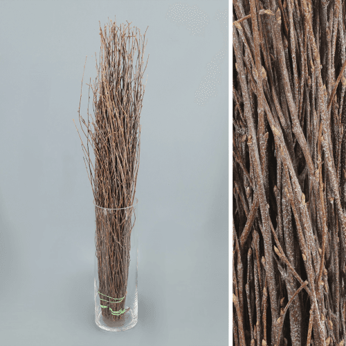 Birch Natural, Natural, 60cm