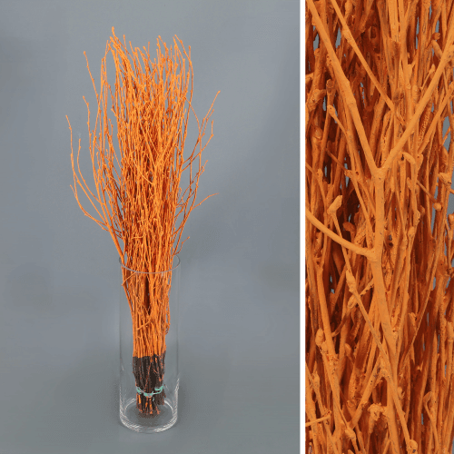 Birch Pintado Naranja, Naranja, 60cm