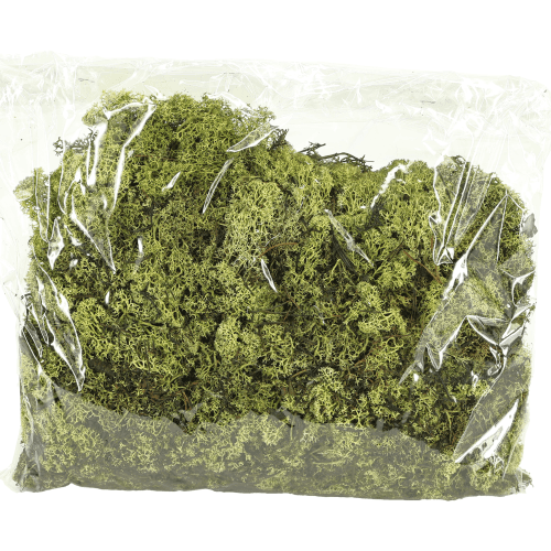 Musgo Finlandes 500 g, Verde Claro