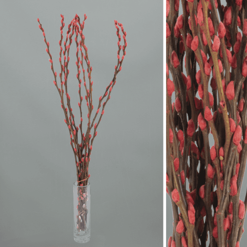 Salix Snow Flake Rojo Teñido, Rojo, 1 tallos, 70cm