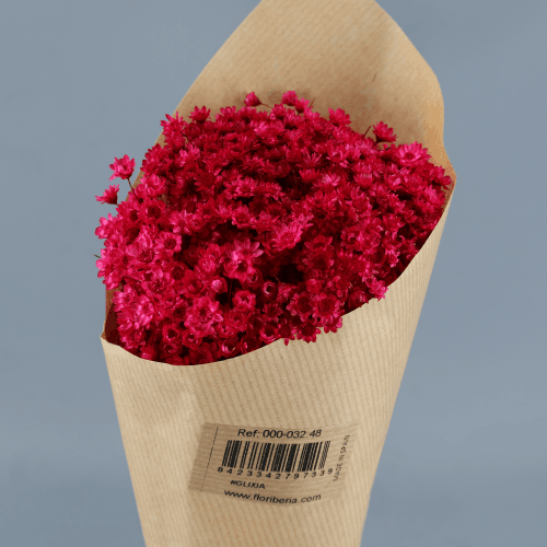 Glixia Rosa, Cereza, 40cm
