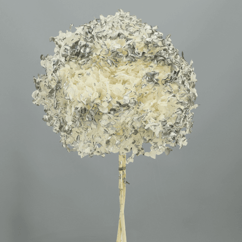Hydrangea Annabella Plata/Blanco