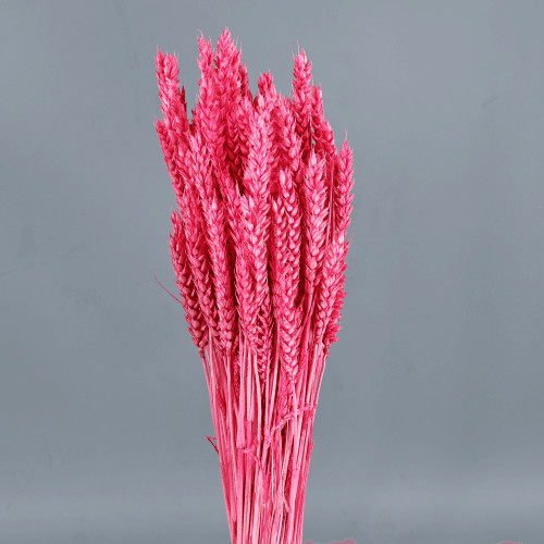 Trigo Fucsia 200 gr, Fucsia, 80cm
